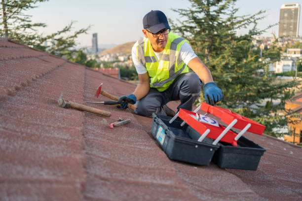 Professional Siding in Littleton Common, MA